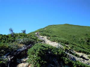 北沢峠から小仙丈ヶ岳