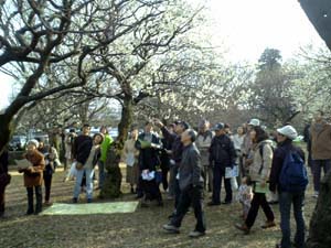 060227-ume.jpg