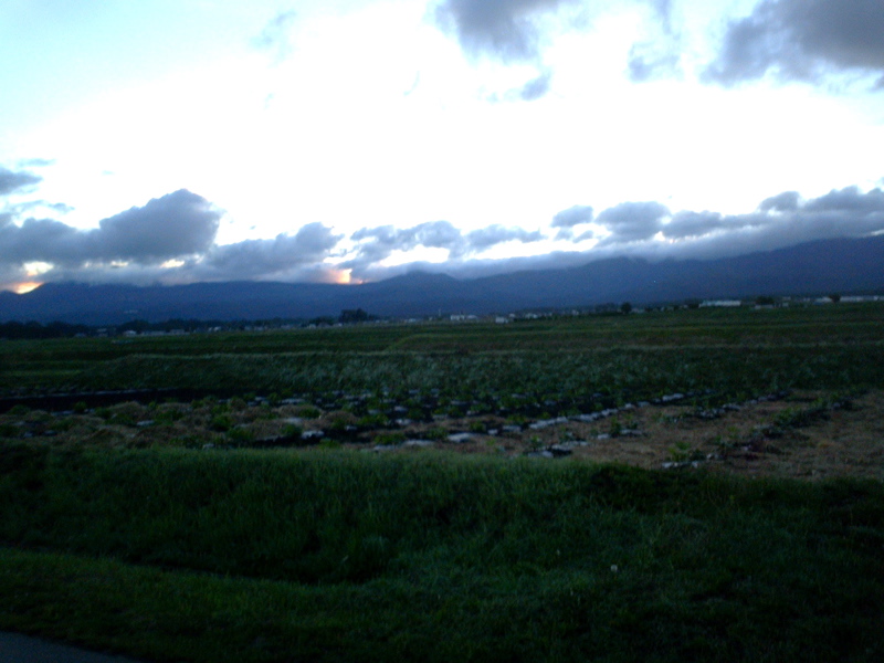P1002664
