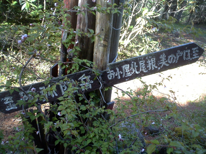 P1002695
