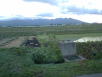 P1002665