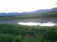 P1002670