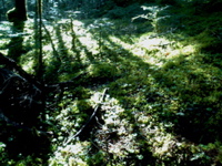 P1002691