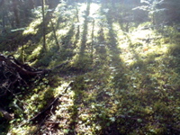 P1002692