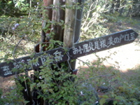 P1002695