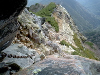 P1002731