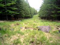 P1002738