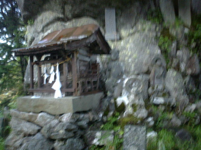 P1003368