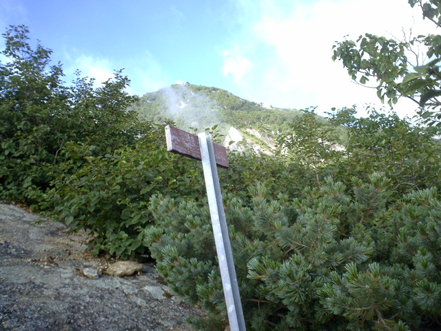 P1003374
