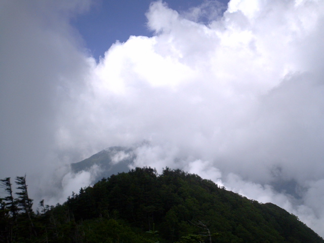 P1003415