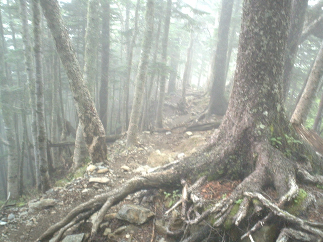 P1003421