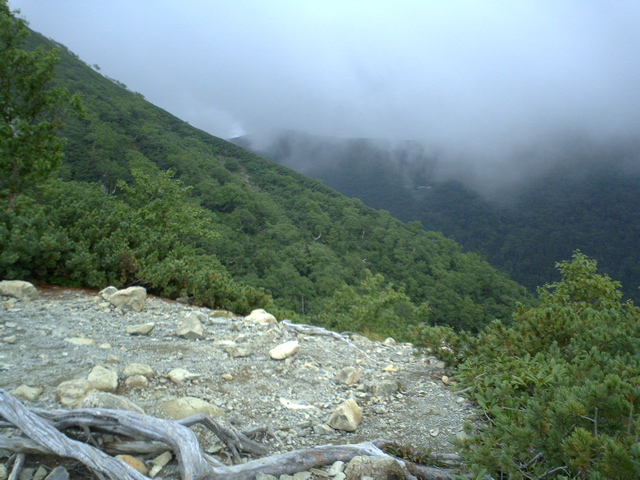 P1003423