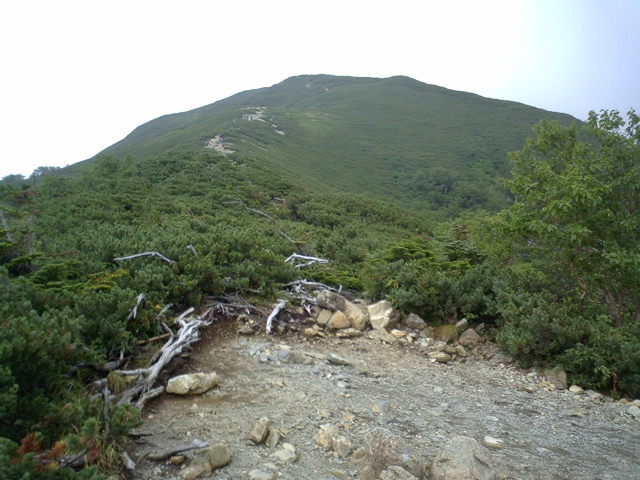 P1003424