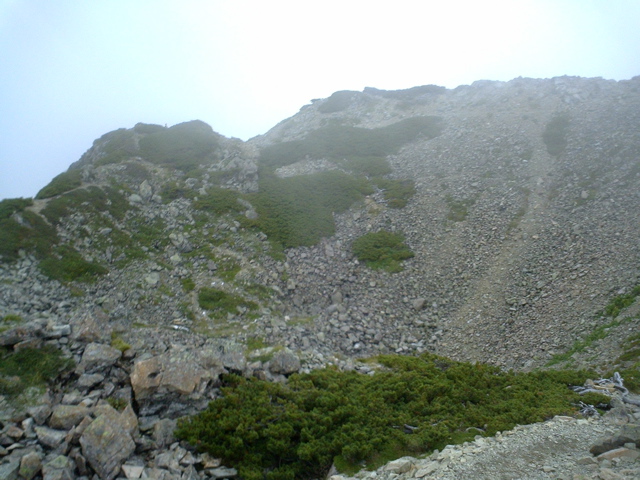 P1003432