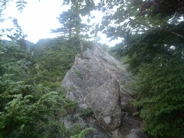 P1003363