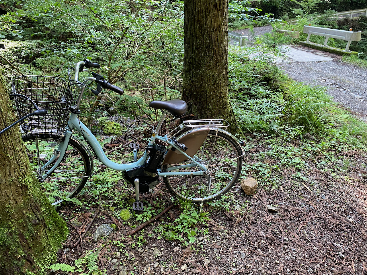 デポした電動アシスト付自転車
