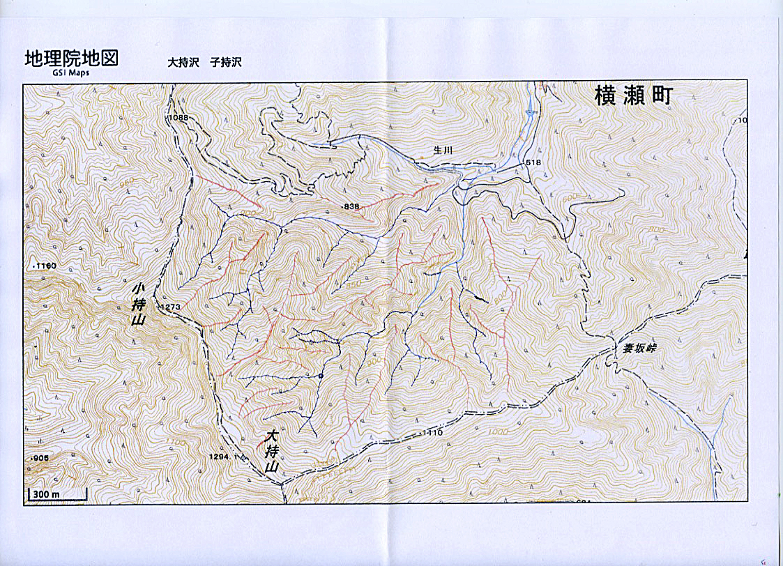国土地理院地図に尾根・沢筋を記入した大持沢・子持沢の遡行地図